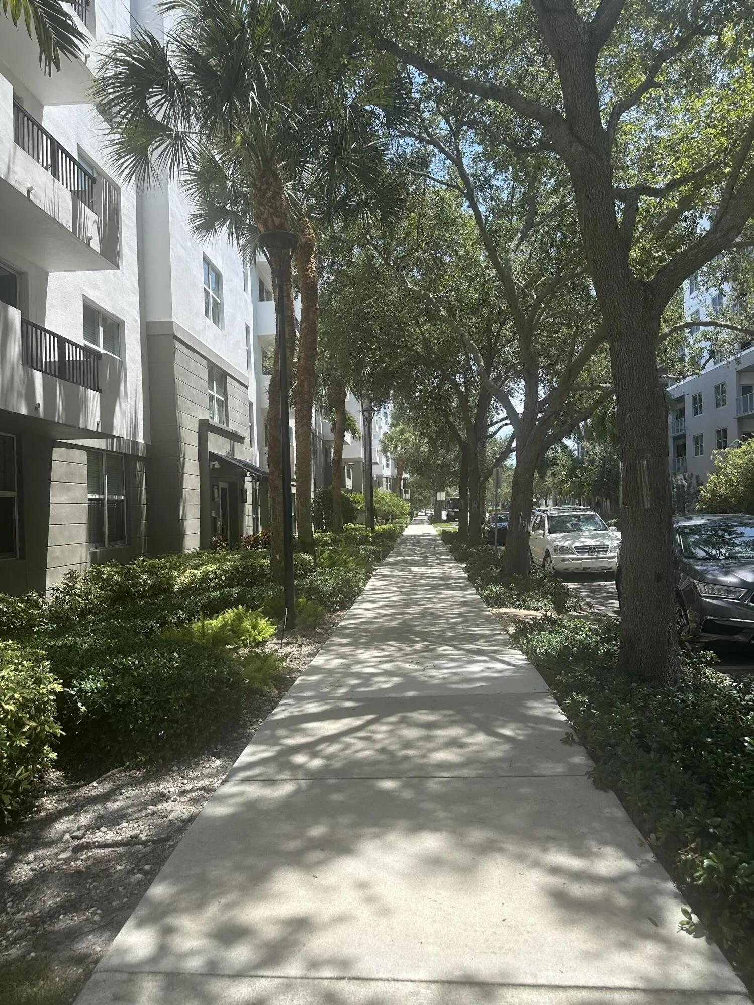 Beautiful green walkway to the entrance of the building