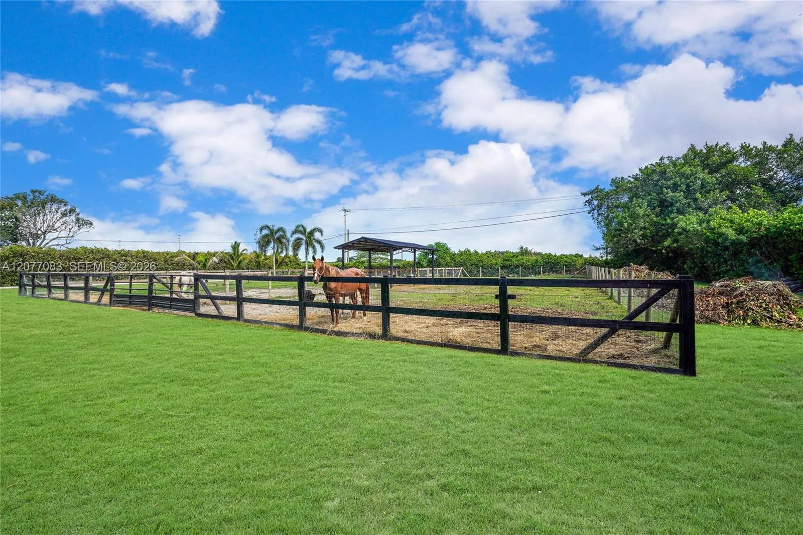 Property photo 31