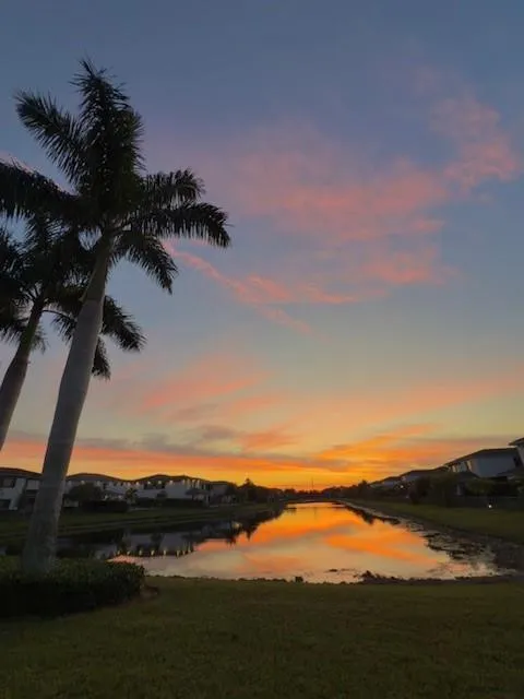 Back Yard View