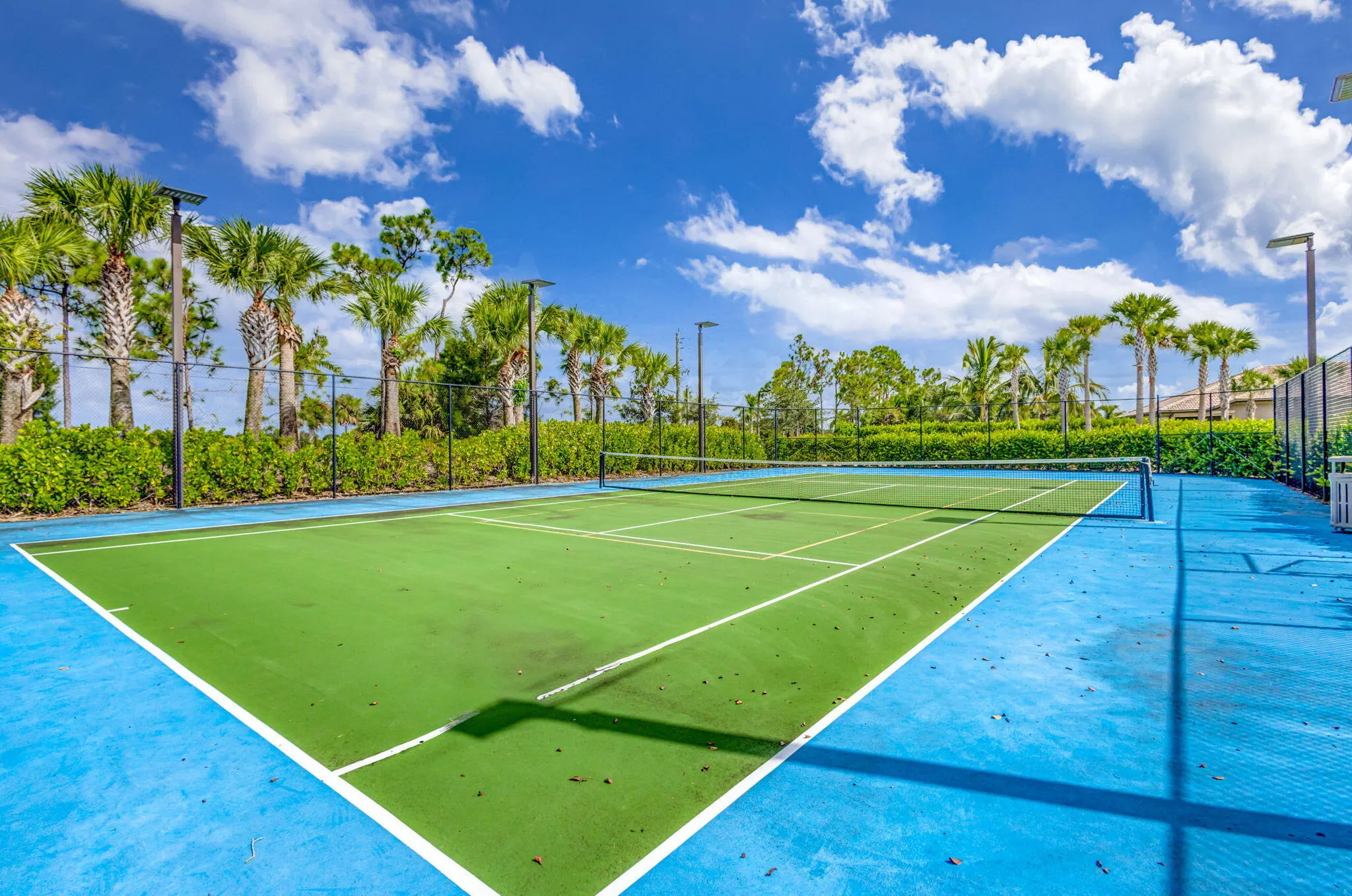 Tennis/Pickle Ball