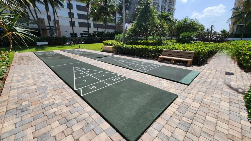 Shuffleboard