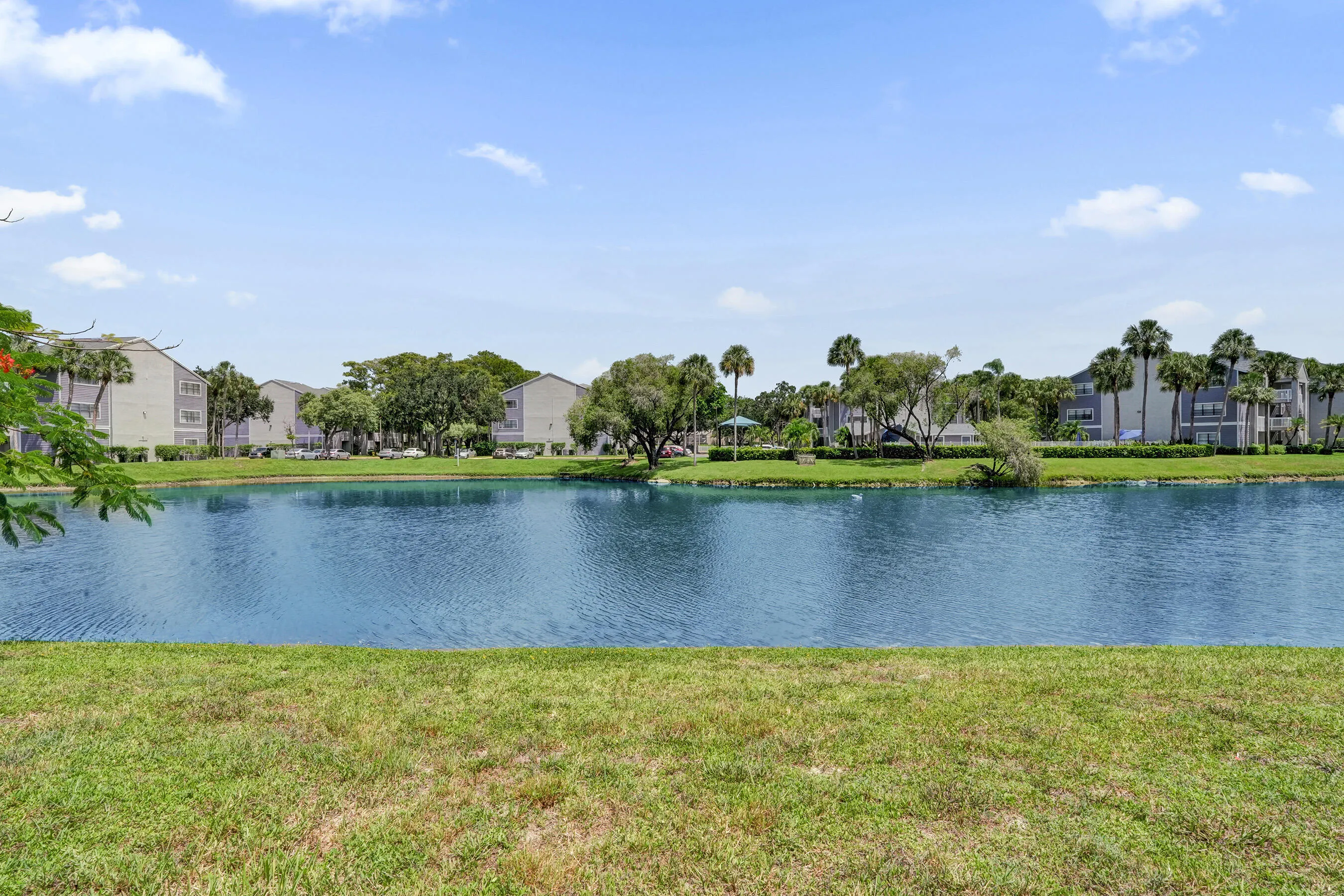 Expansive water feature with surrounding green space, mature trees, and multi-story buildings