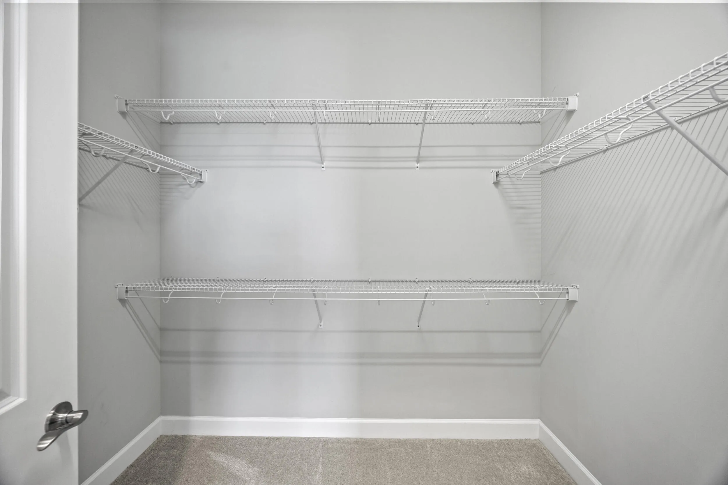Built-in wire shelving, plush carpet, and white trim molding