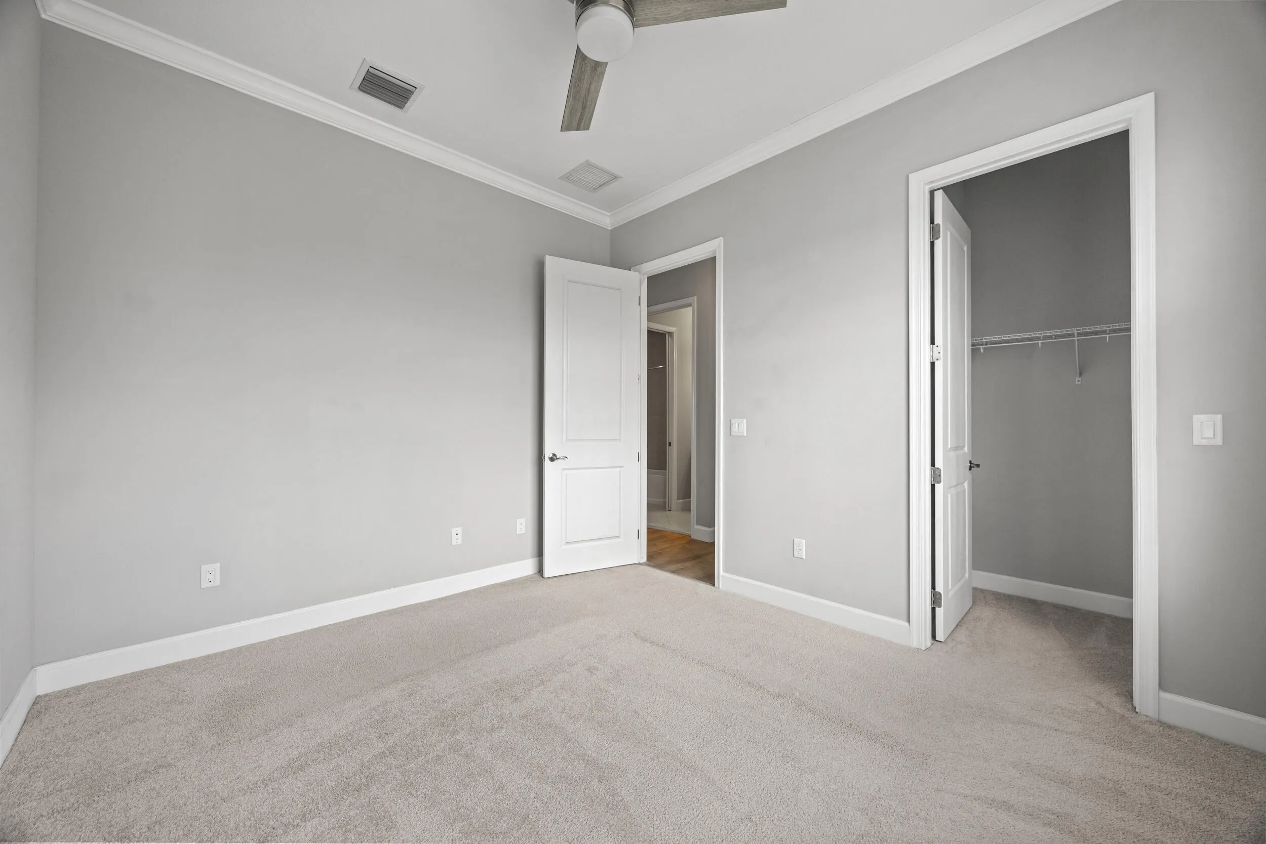 Plush carpeting, crown molding, ceiling fan, and white trim work