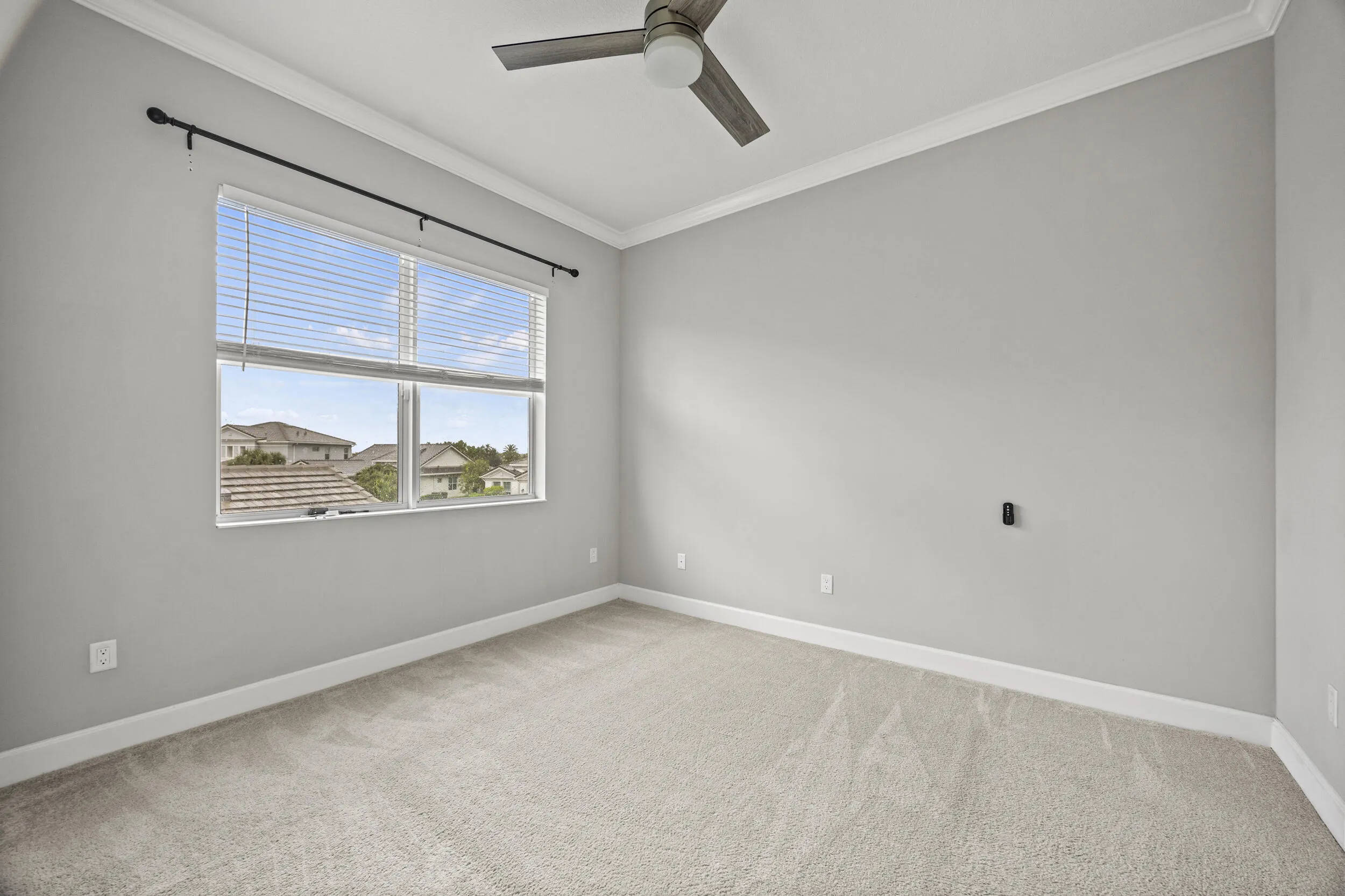 Wall-to-wall carpeting, crown molding, and a ceiling fan