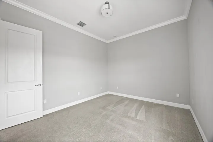 Neutral-toned walls, crown molding, and light gray carpeting