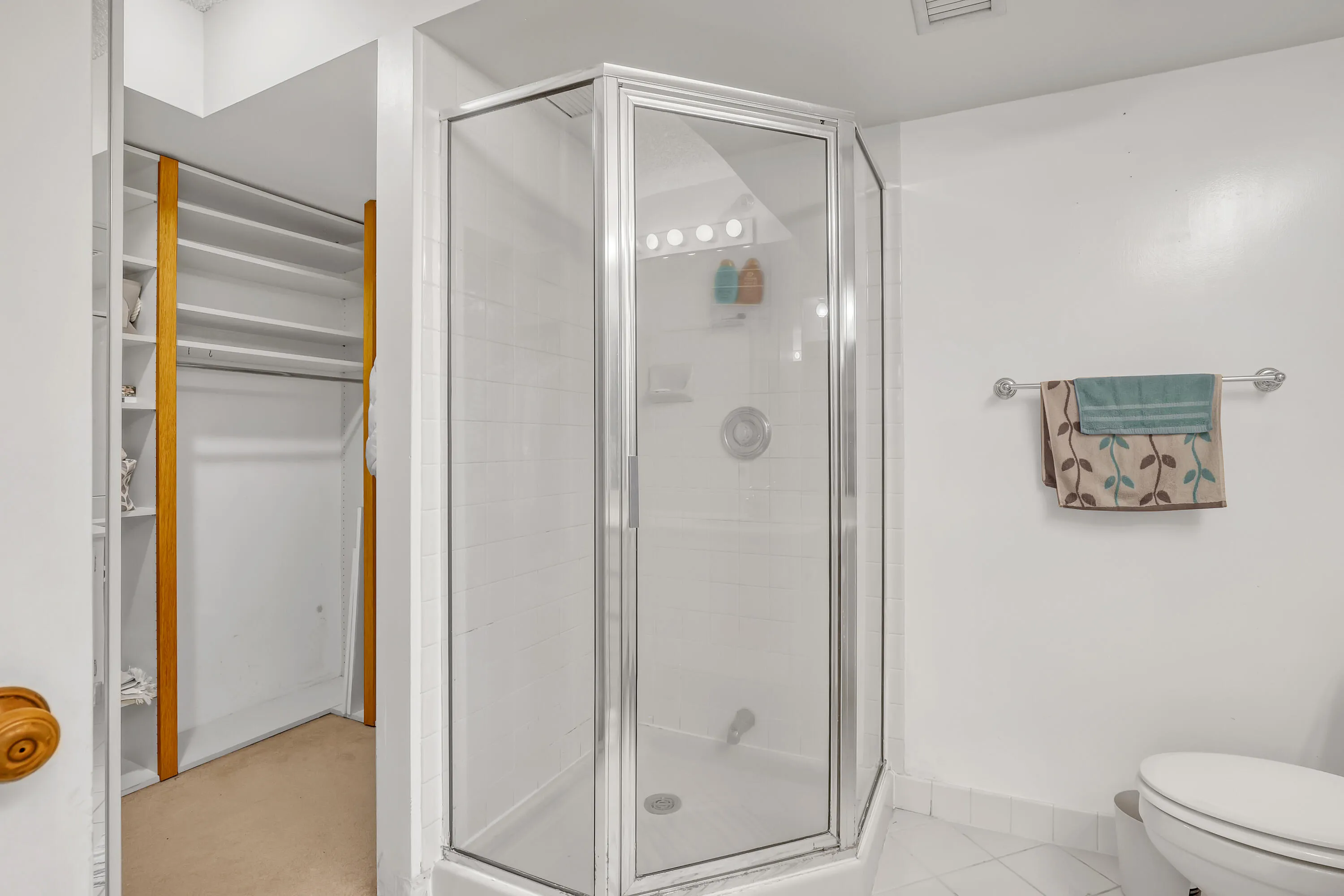Primary Shower