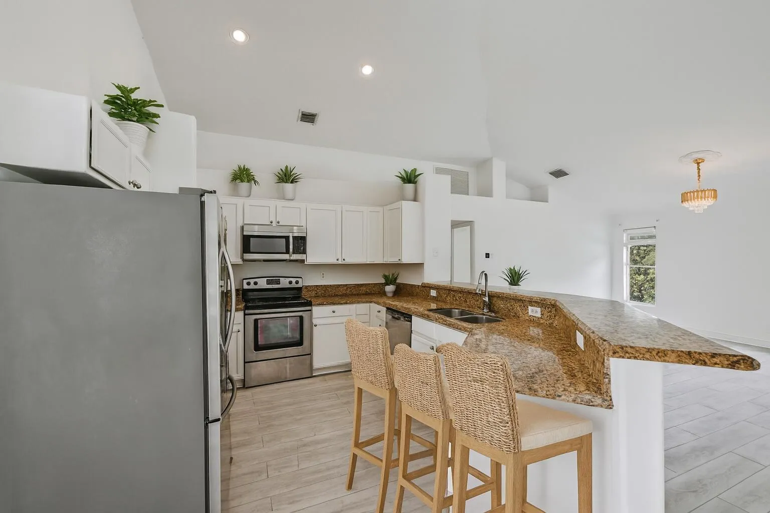 Modern Kitchen and Living Space