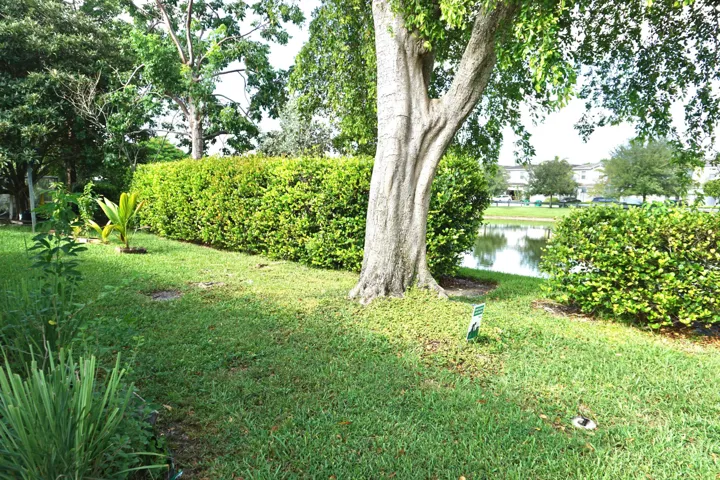 DSC00289