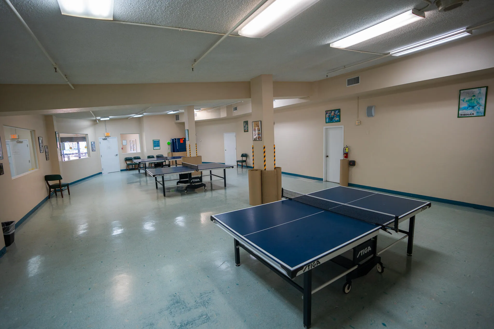 PINGPONG-1