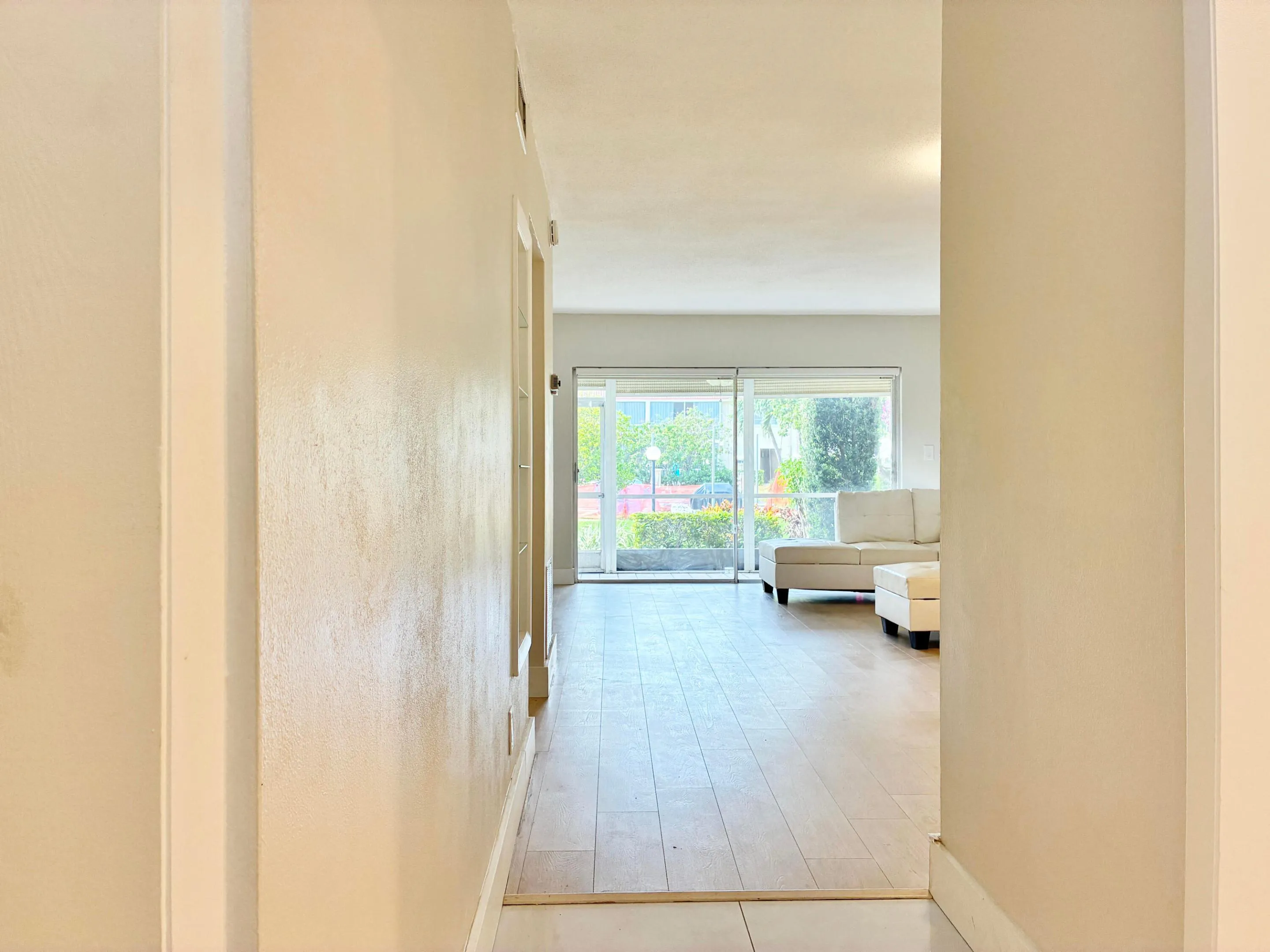 Foyer and Living Area