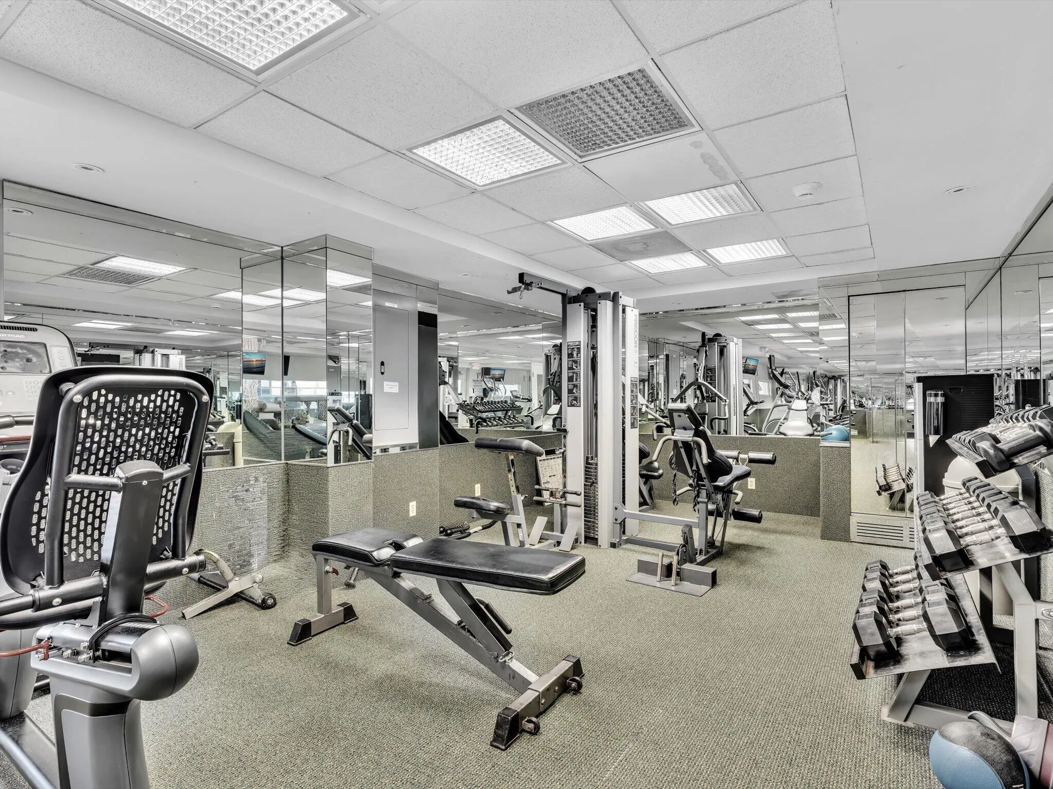 GYM