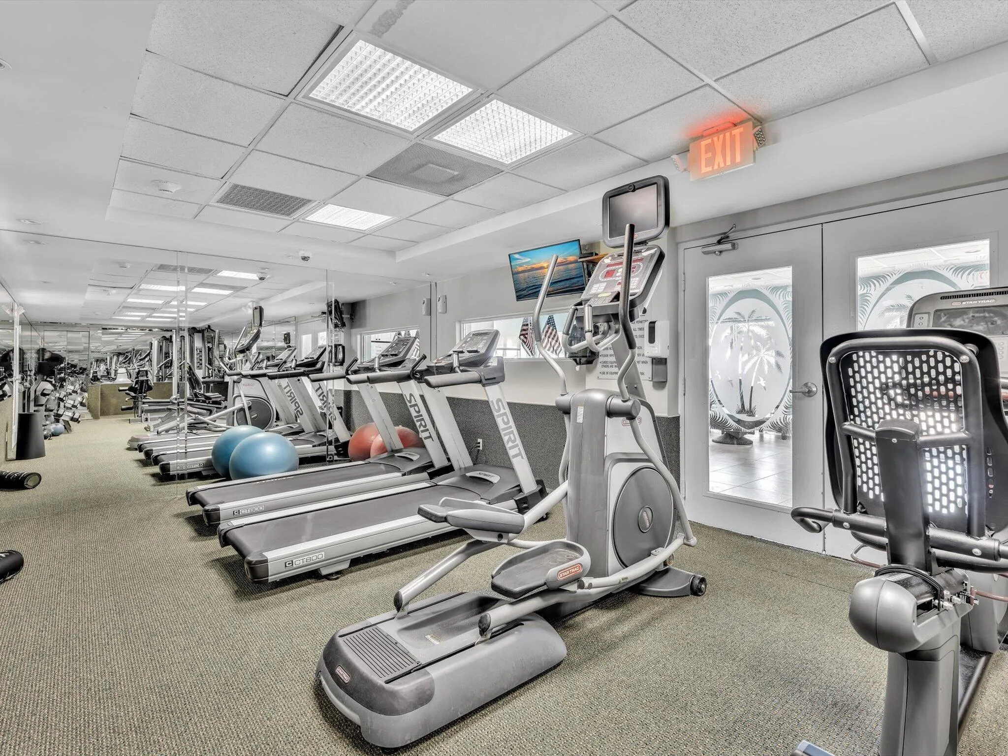 GYM
