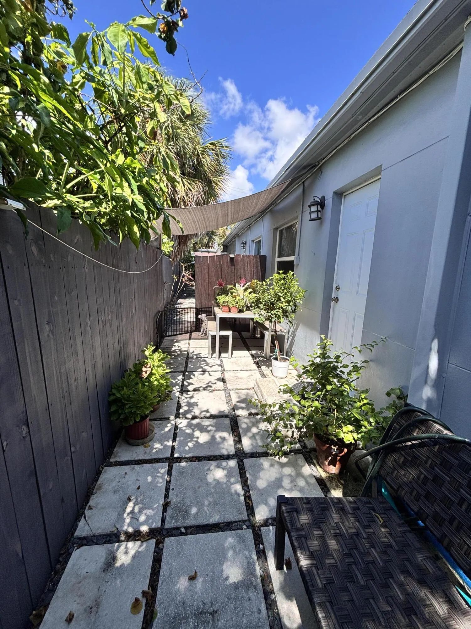 Backyard Patio