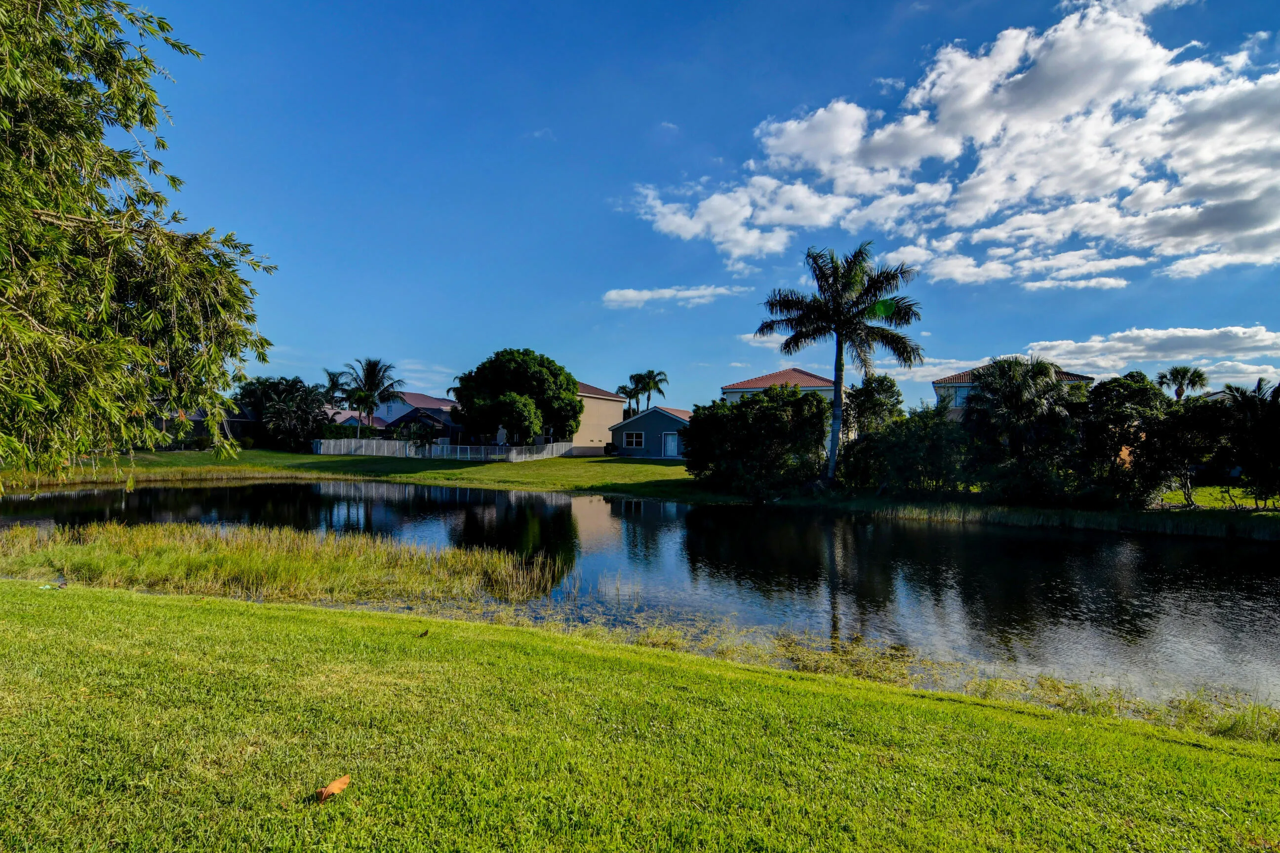 Lake view