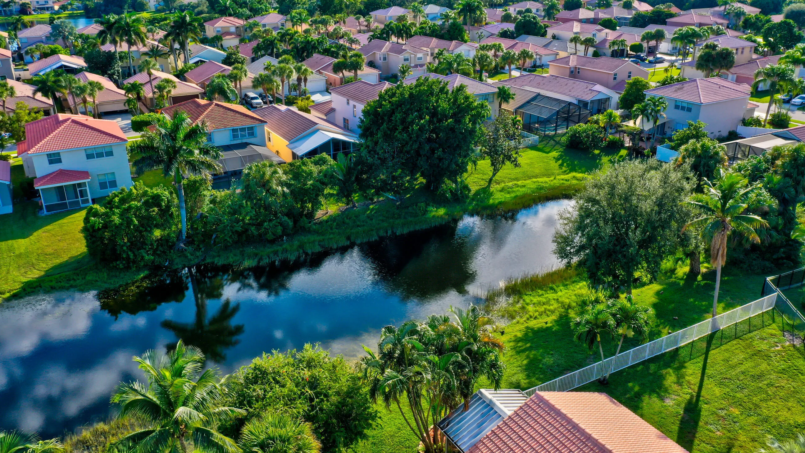 Lake view
