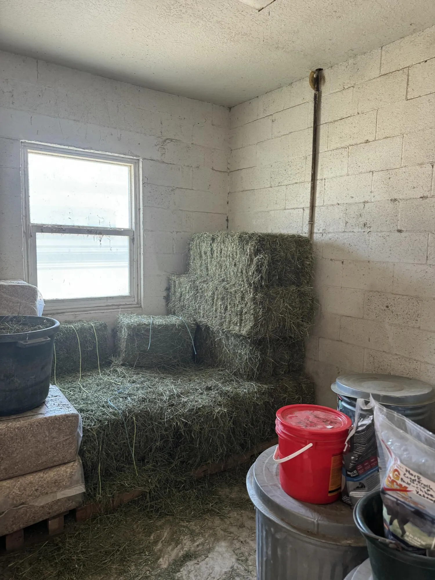Property photo 18