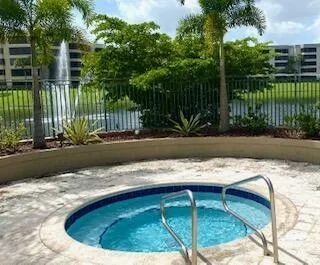 Sparkling saltwater spa with curved concrete decking and stainless steel handrails, surrounded by mature landscaping including palm trees and tropical plantings