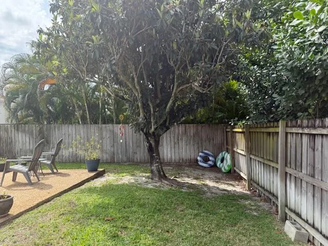 back yard kumquat tree