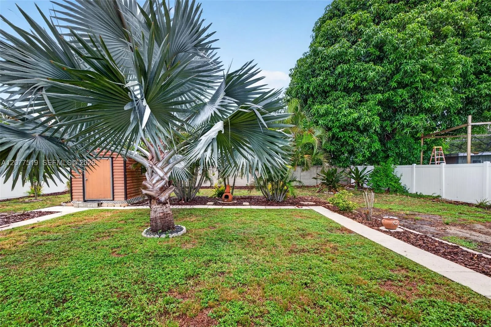 Mature palms and established landscaping enhance the home's outdoor setting.
