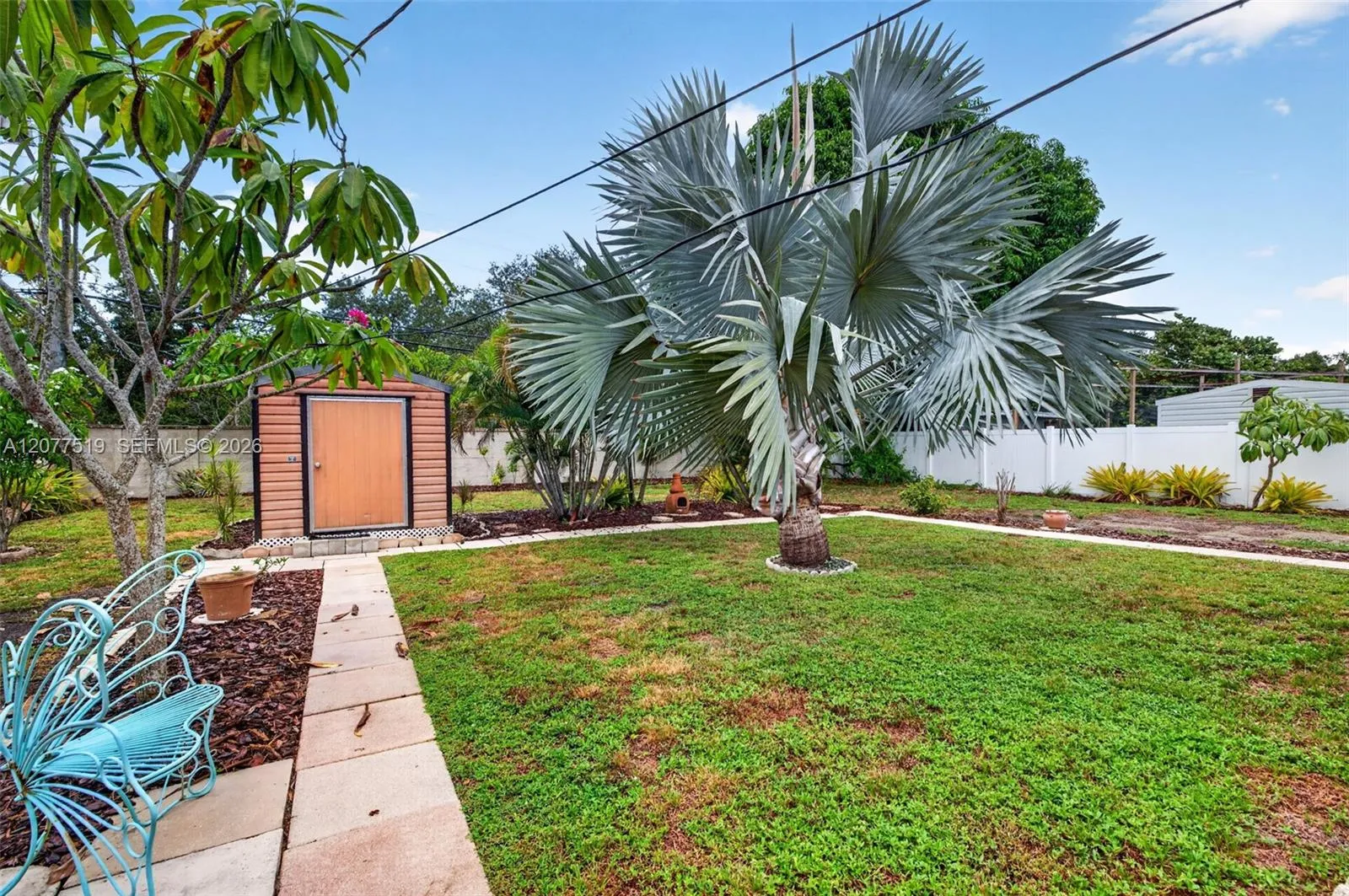 Expansive backyard with mature palms, covered patio space and room for a pool, RV or boat trailer.