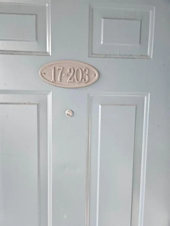 741 LYONS 203 FRONT DOOR