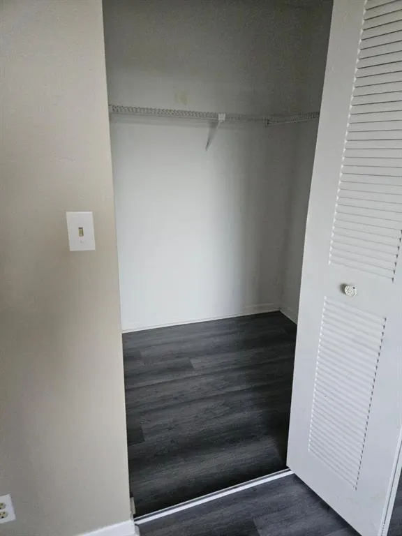 741 LYONS 203 BEDROOM CLOSET 1