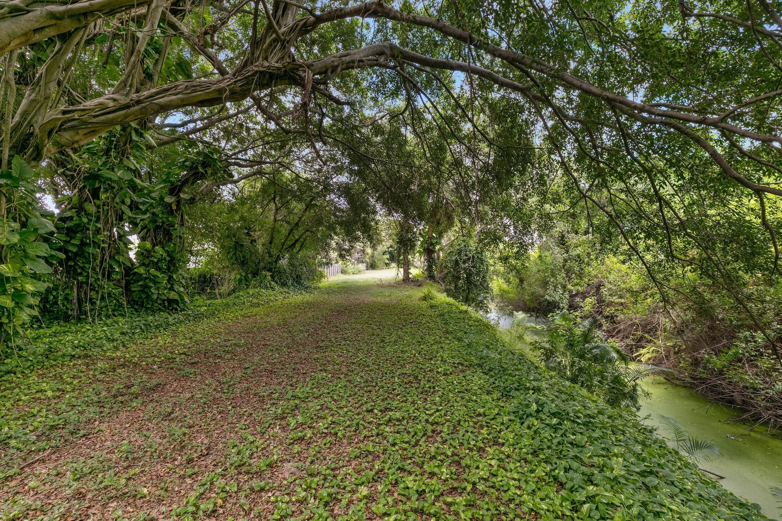 Rear Trail 2