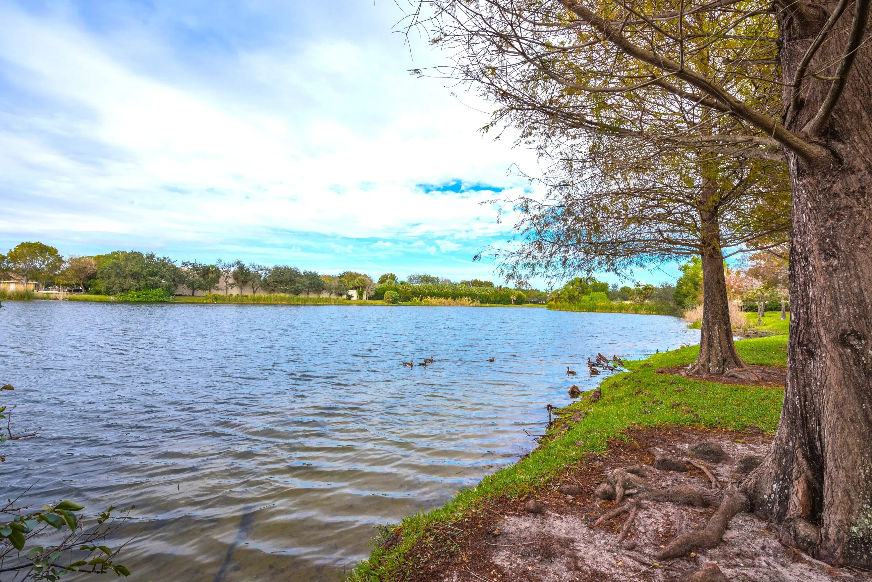 American Homes Park (6)