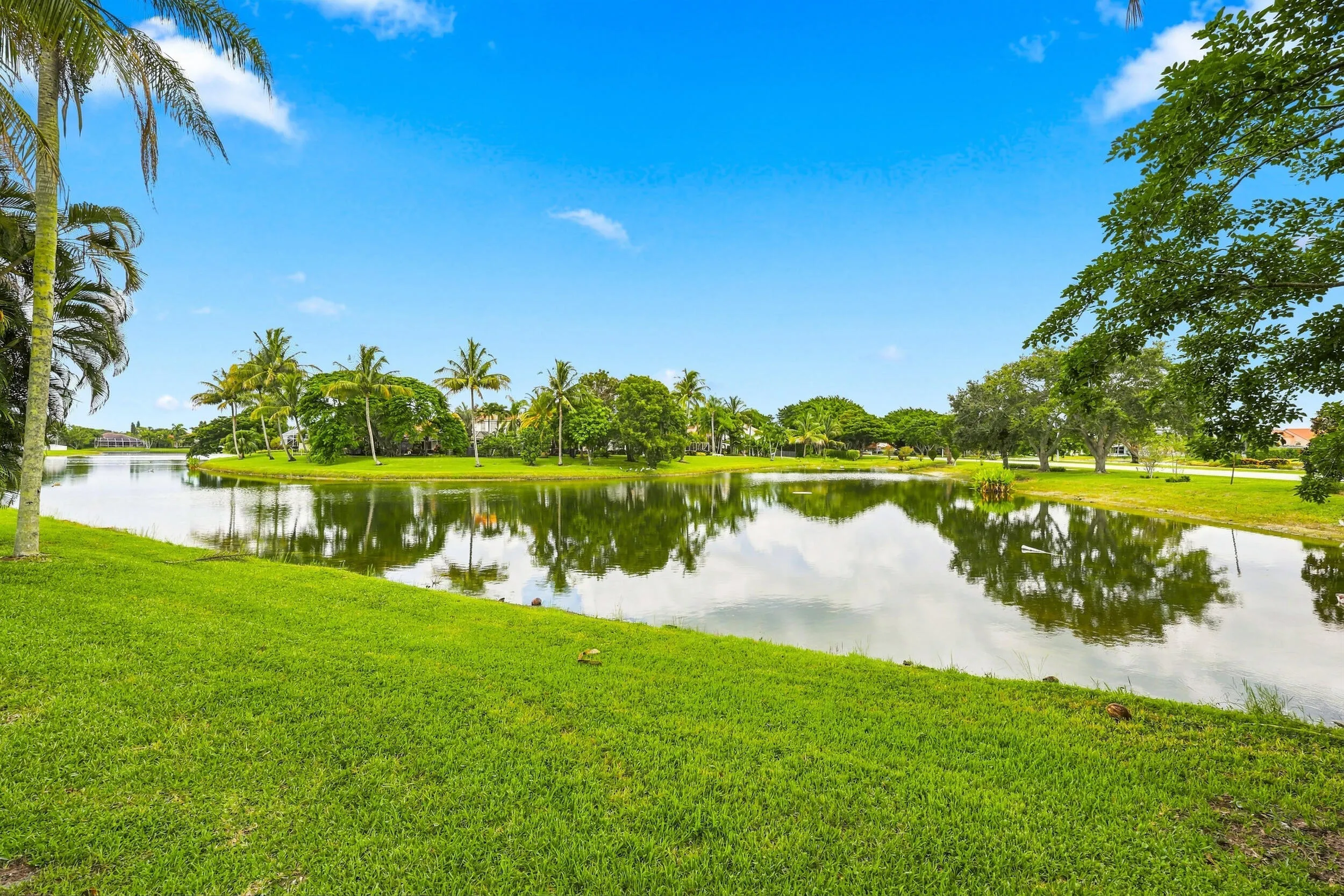 Lake view