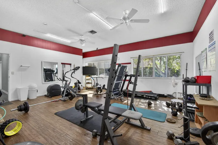 Gym weights