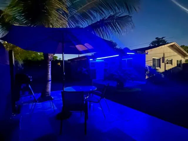 Night foto Backyard 3