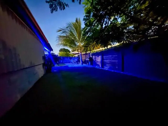 Night foto Backyard 5