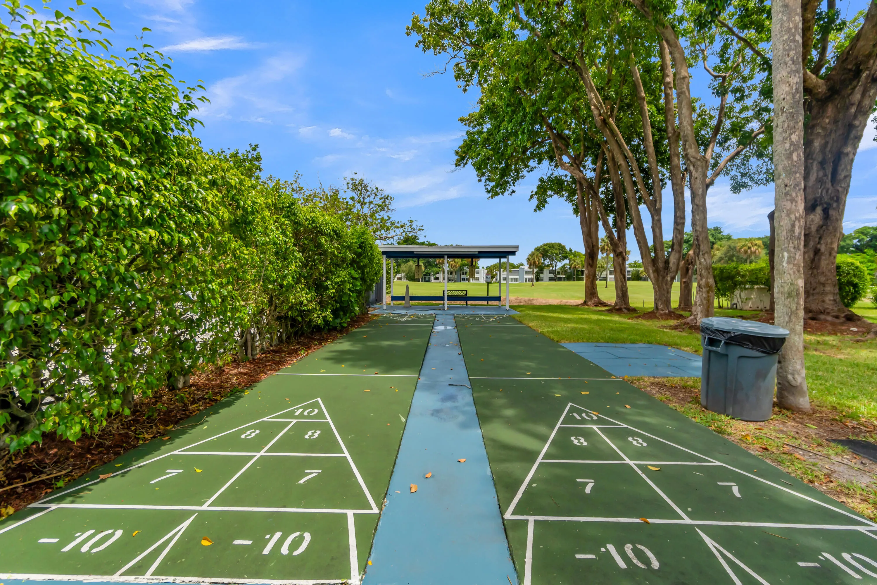 SHUFFLE BOARD