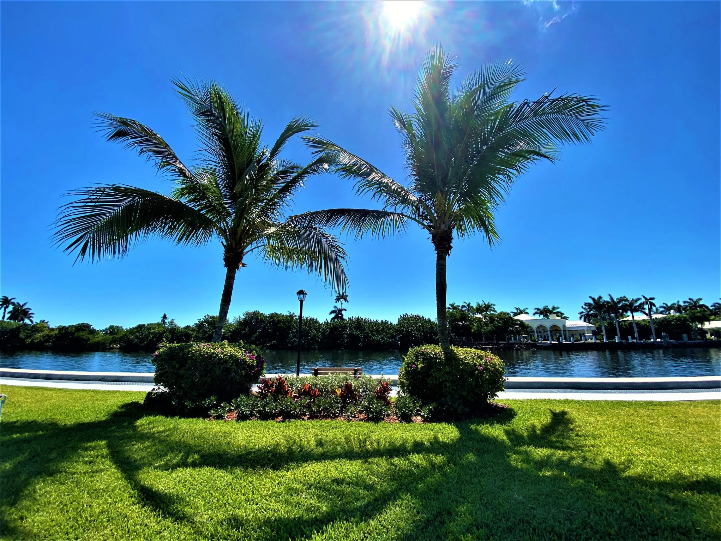 Benches Along The Water