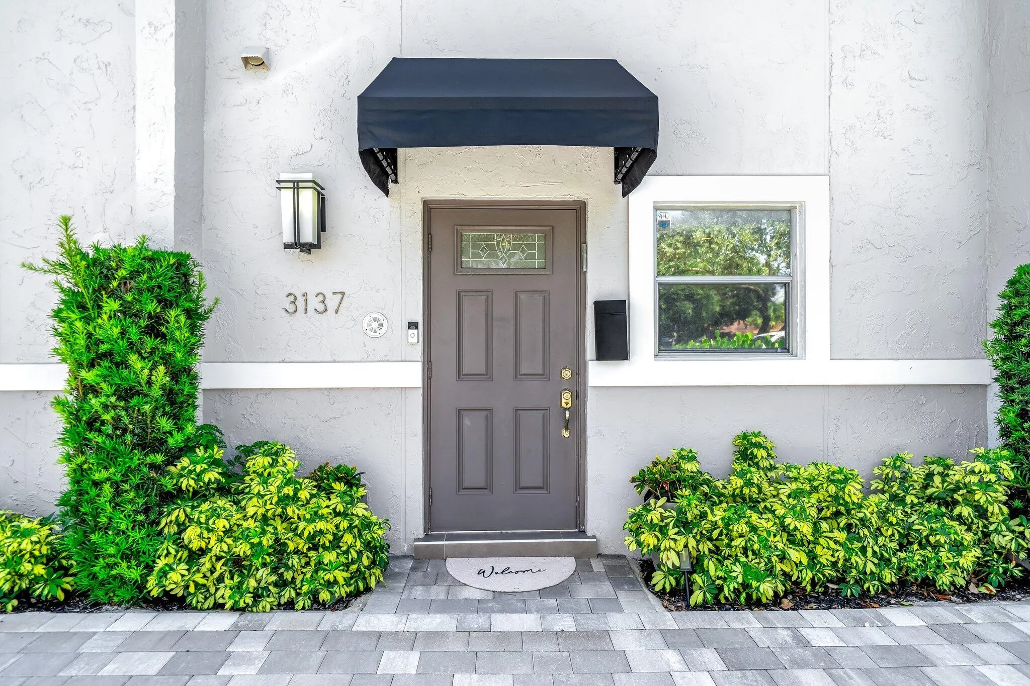 22-web-or-mls-JOY09204