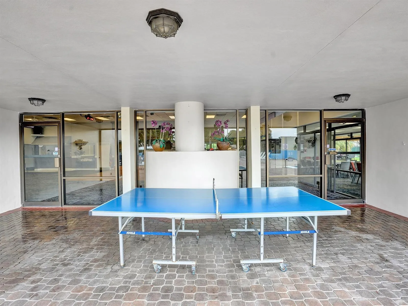 Table tennis, anyone