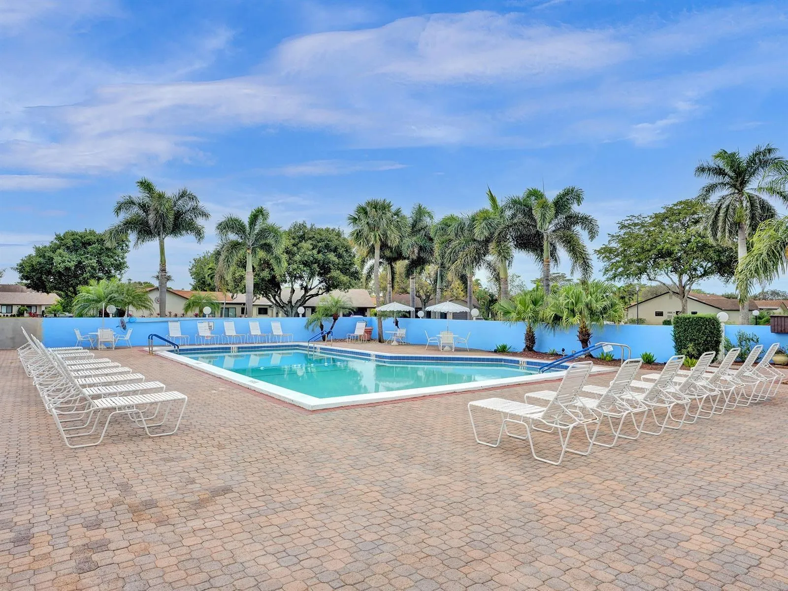 Look at the pool!