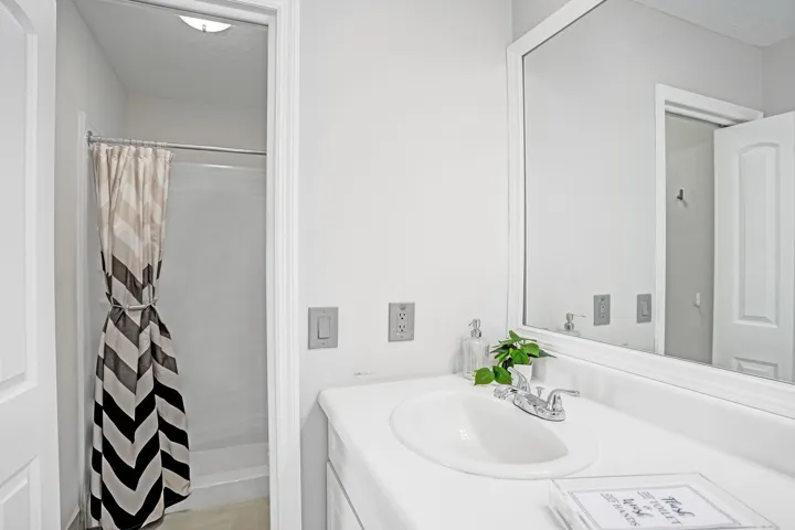 Updated Primary bathroom with seperate shower/water closet