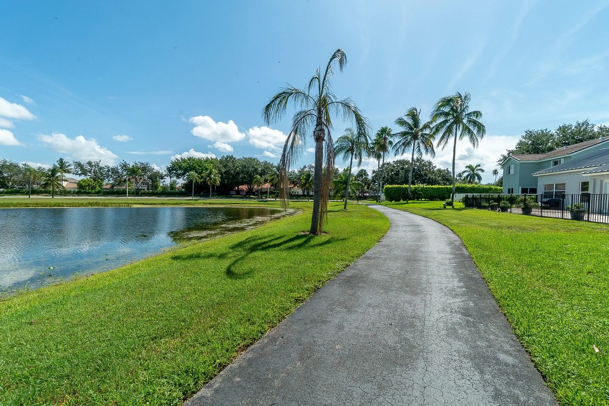 Jogging Paths