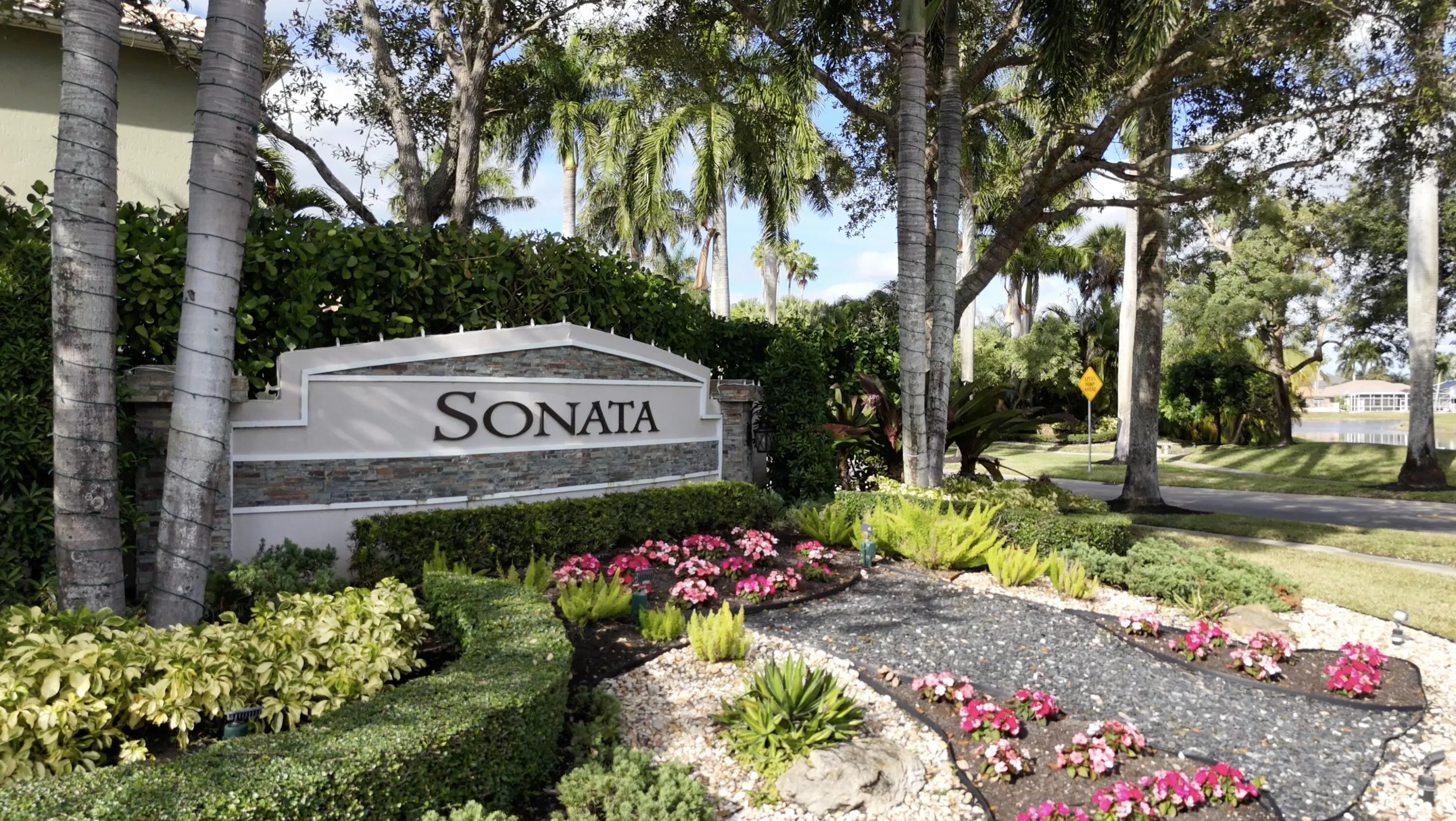 Mission Bay Sonata