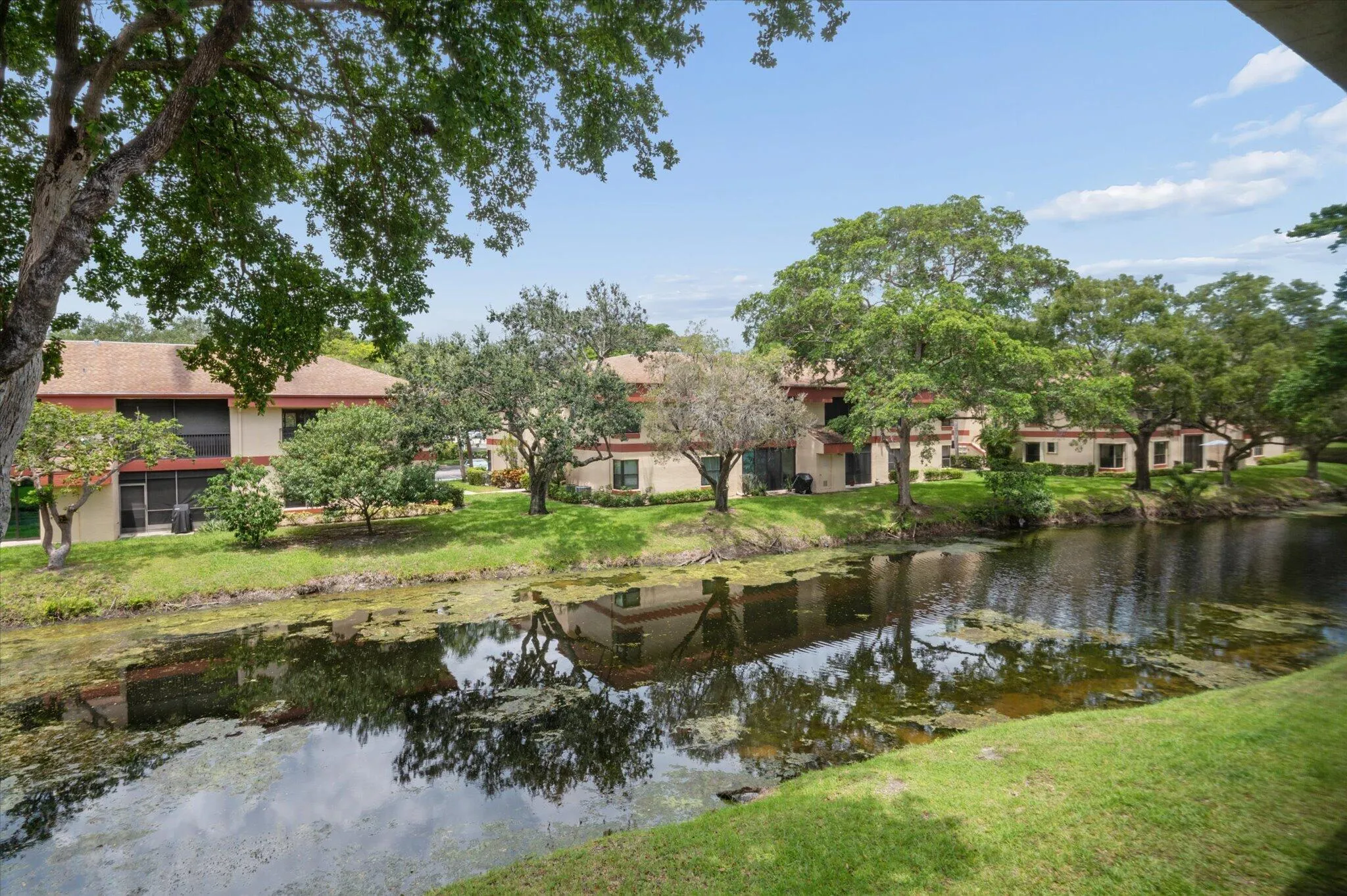 Lake view