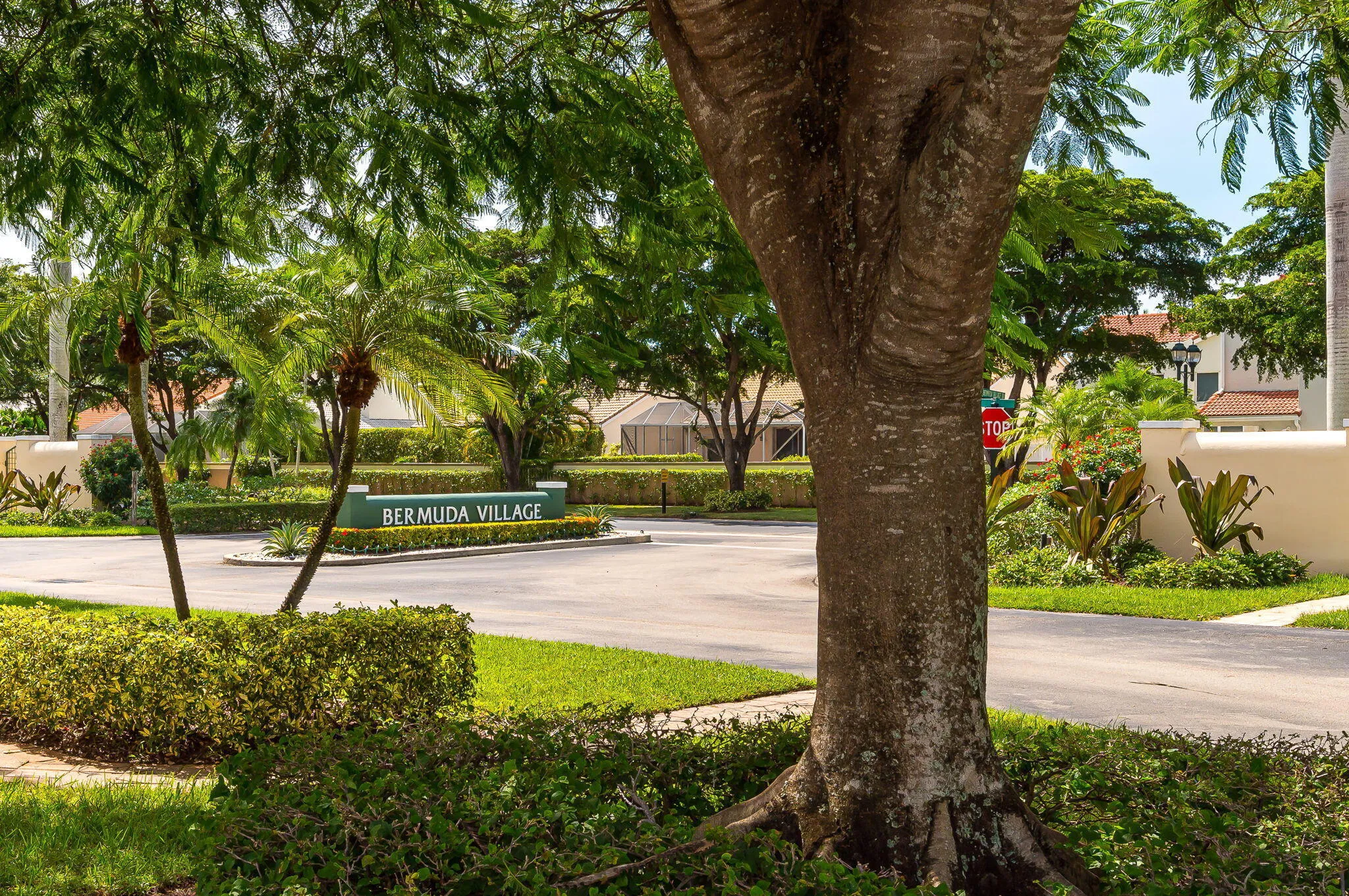 21-web-or-mls-photo-21