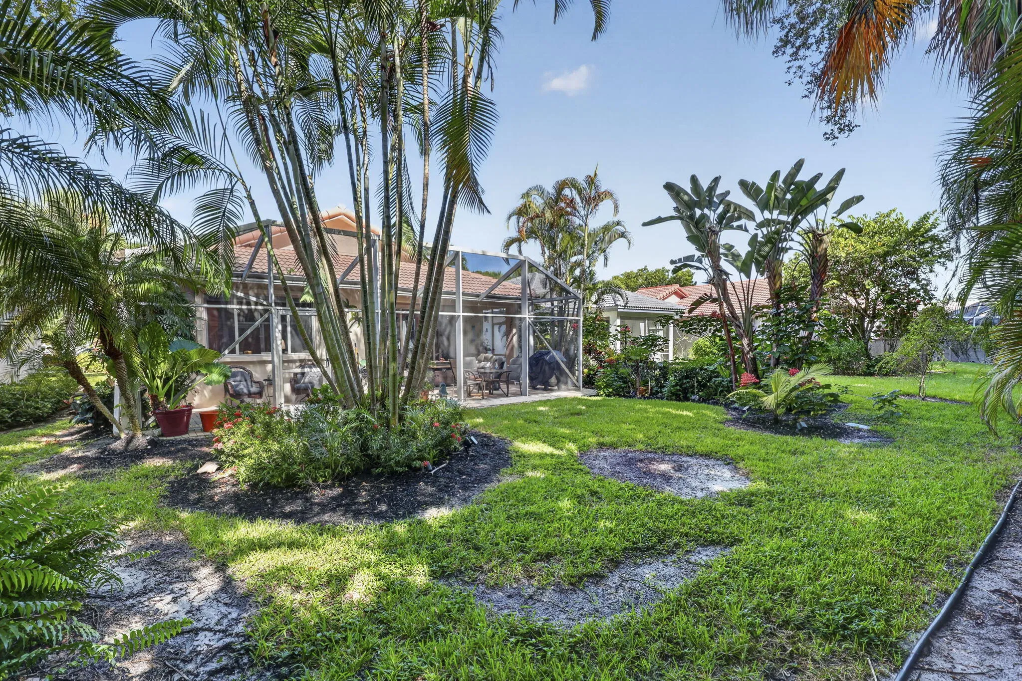 Expansive lawn featuring mature palm trees and established garden beds
