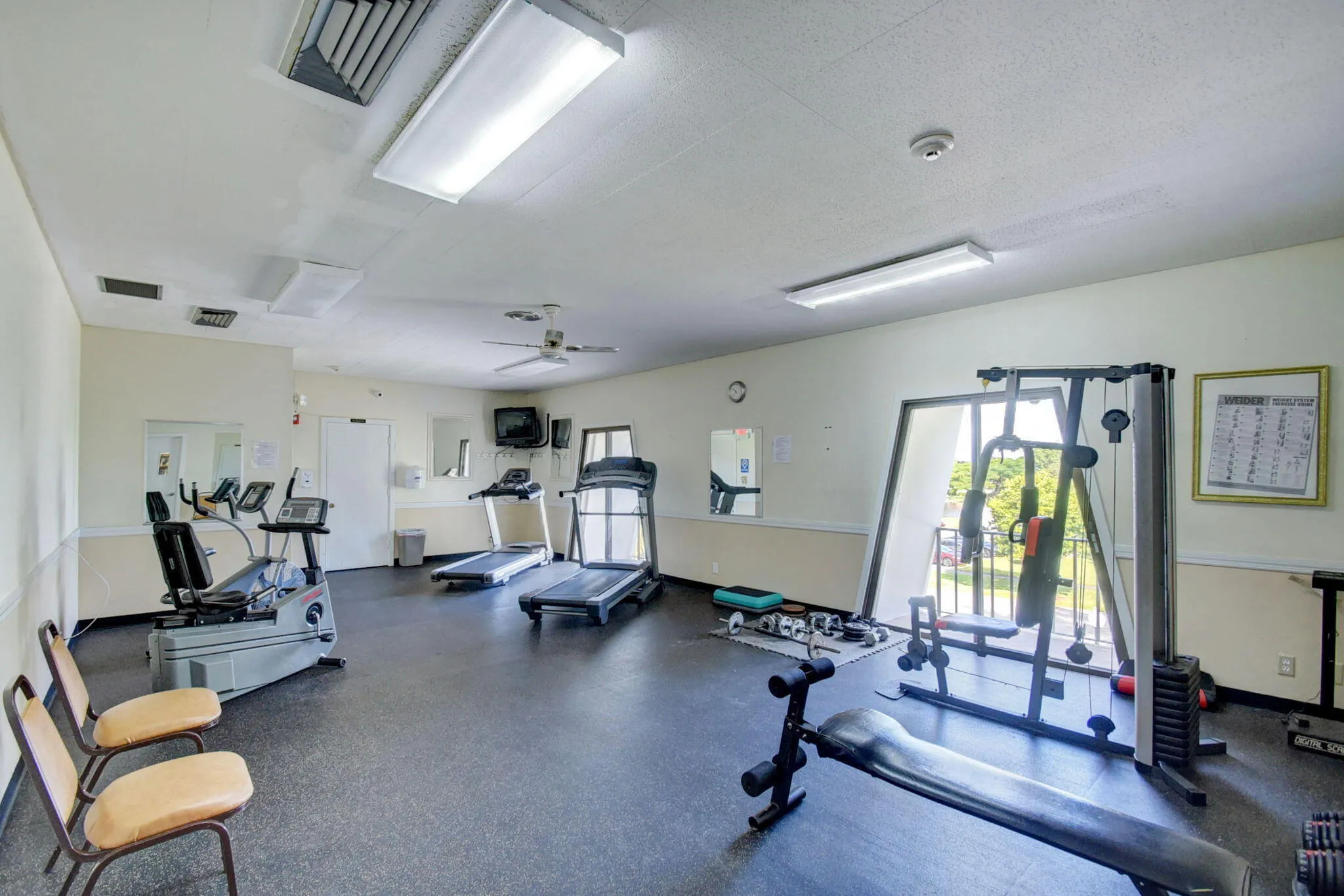 Gym