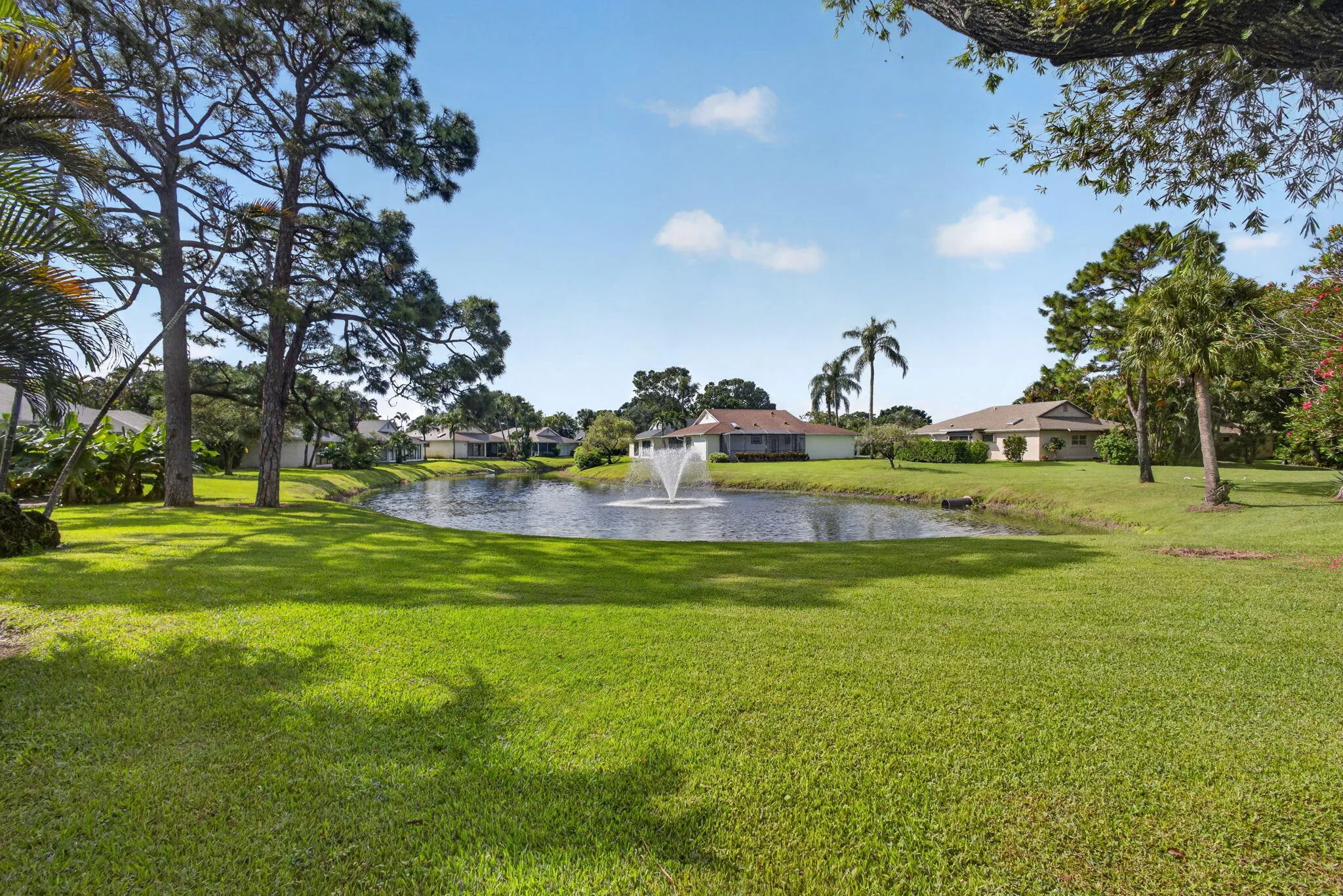 43-web-or-mls-5D1A3460