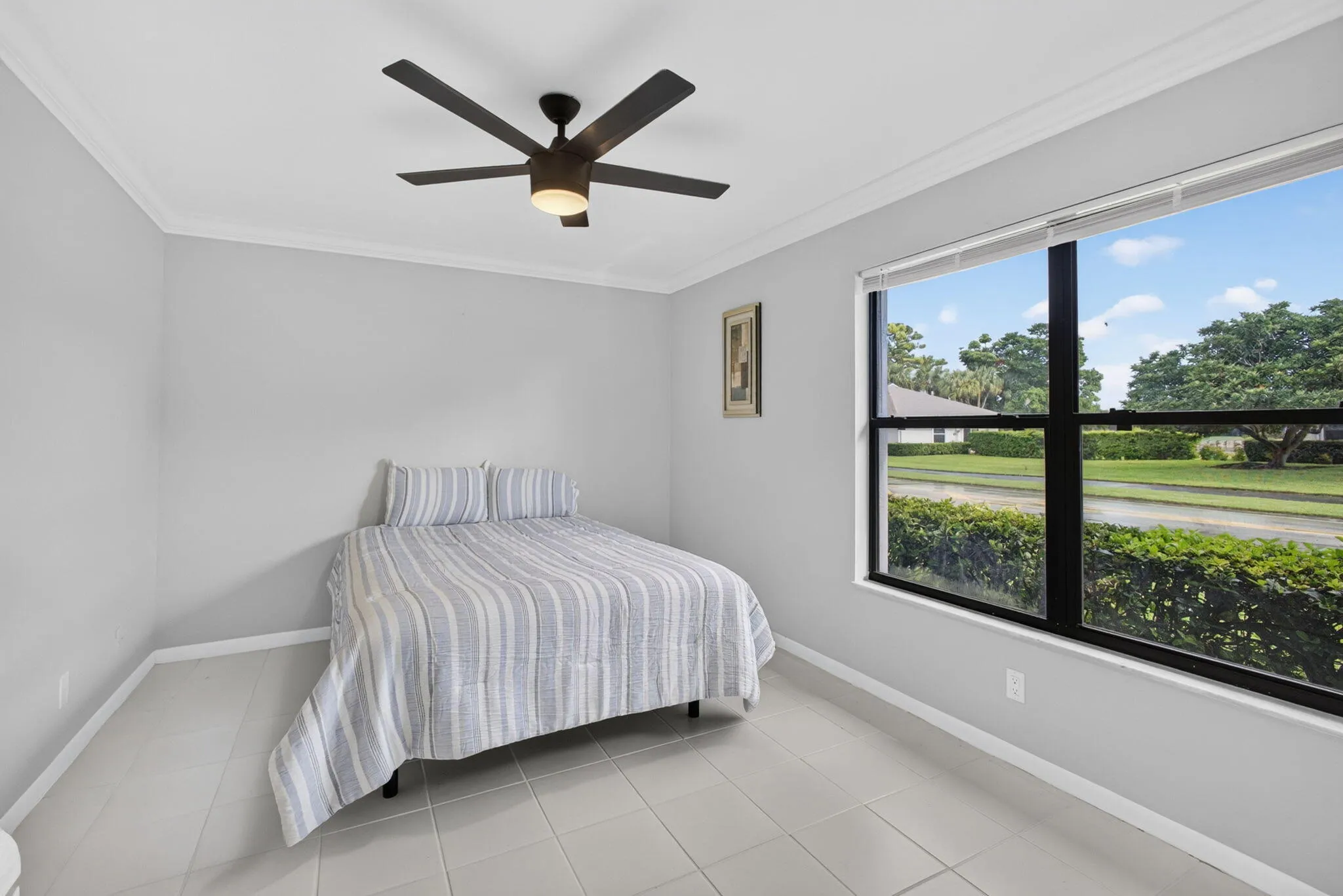 34-web-or-mls-5D1A3282