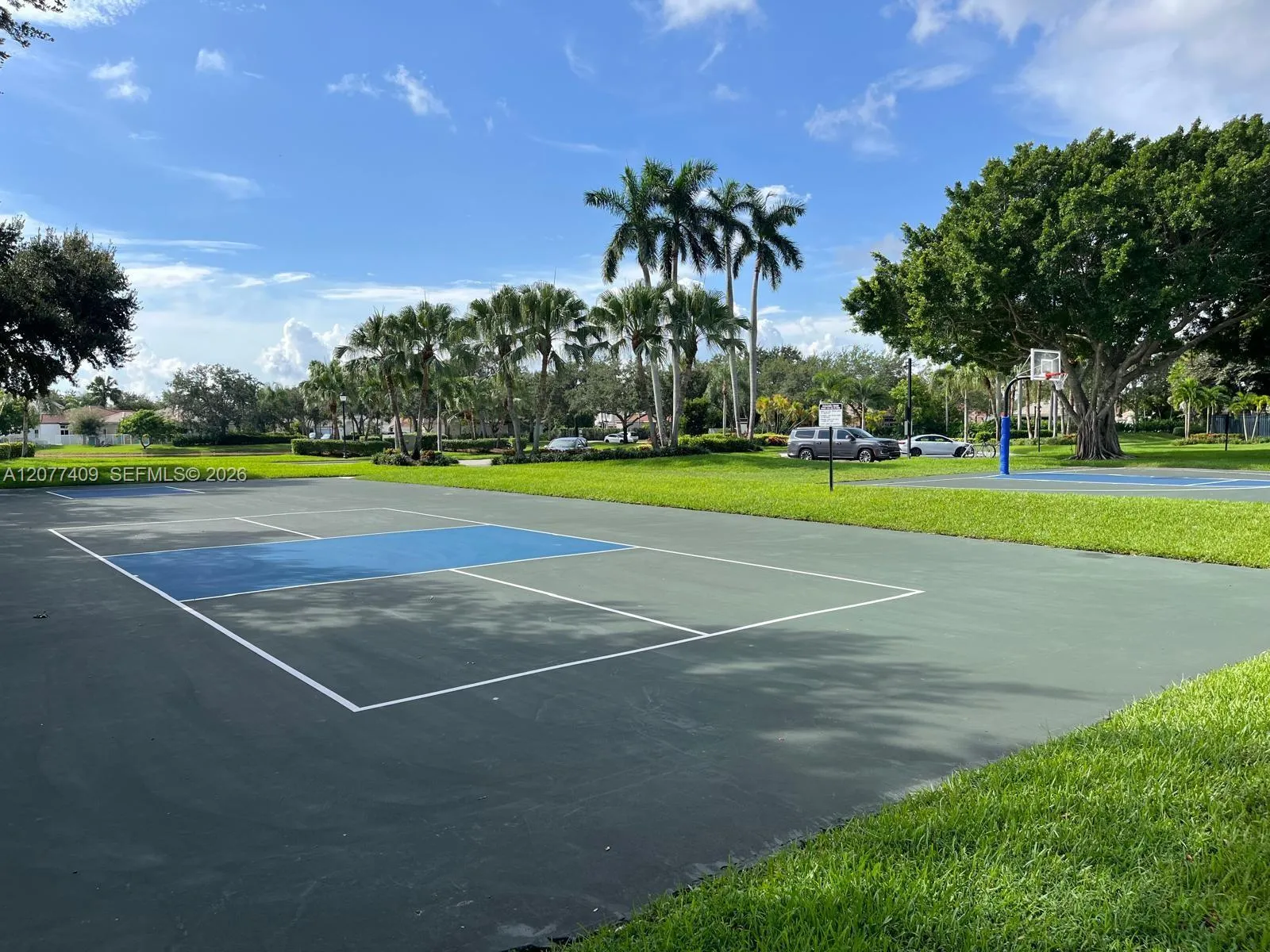 Multi use court