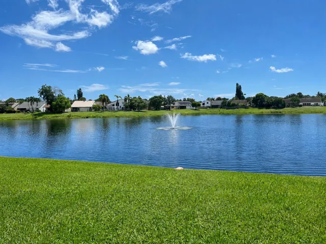 Lake view