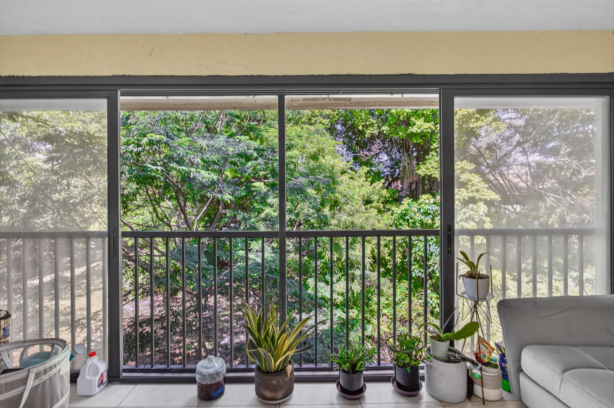 20-web-or-mls-4111-4665